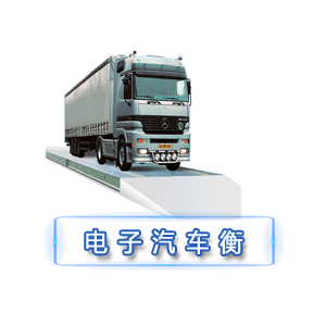 SCS—PT系列電子汽車(chē)衡